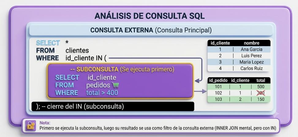 Figura 24